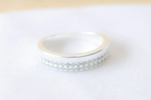 L-AN0176 Anillo tipo medio sin fin doble