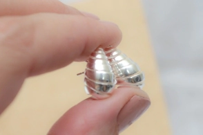 L-AR0105 Aros caracol