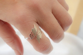 ABAN0052 Anillo 2 ALAS