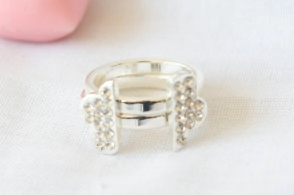 ABAN0110 Anillo doble para compartir nube