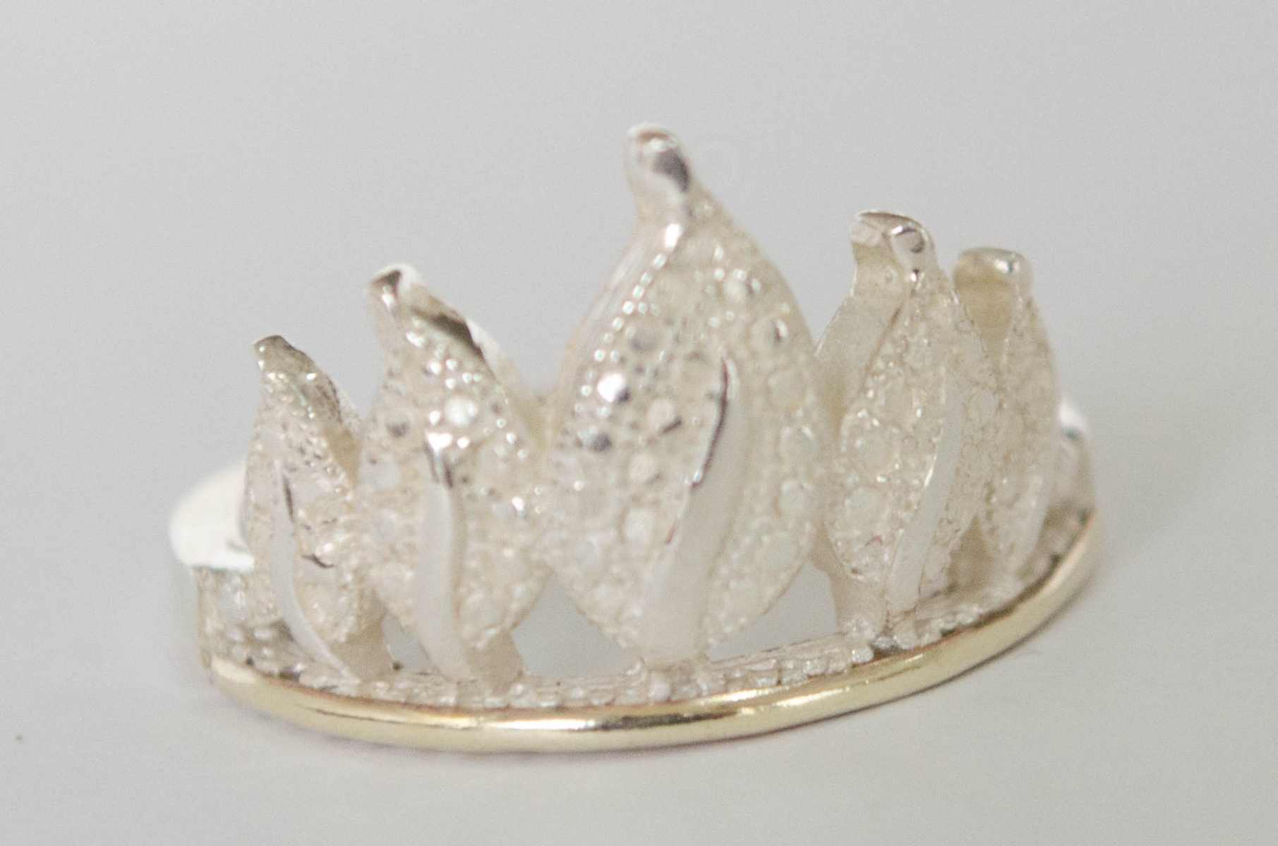 ANI1004 Anillo corona plumas